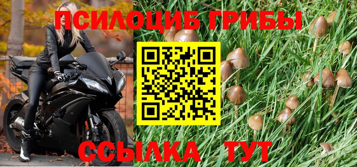 Галлюциногенные грибы GOLDEN TEACHER Лесной